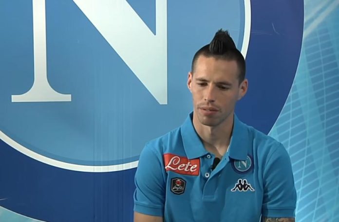 hamsik screen
