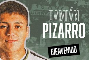 Damian Pizarro, Udinese
