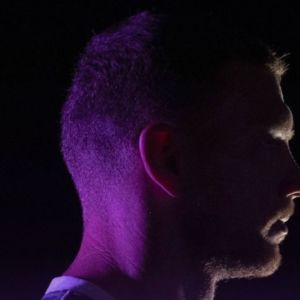 Dzeko, Fiorentina